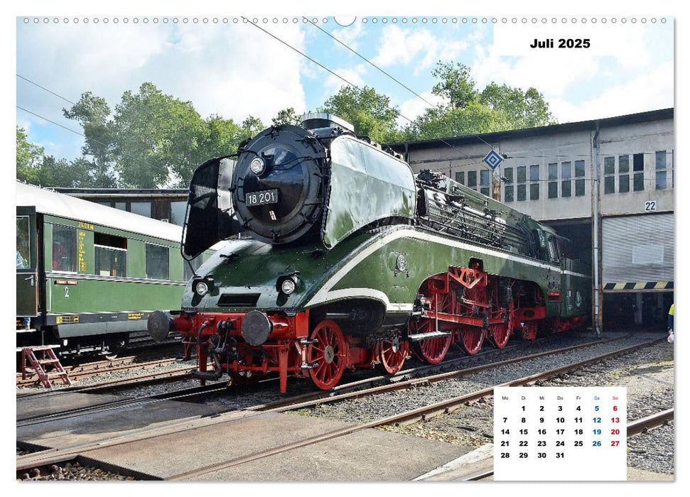 Raritäten der Schiene (CALVENDO Premium Wandkalender 2025)