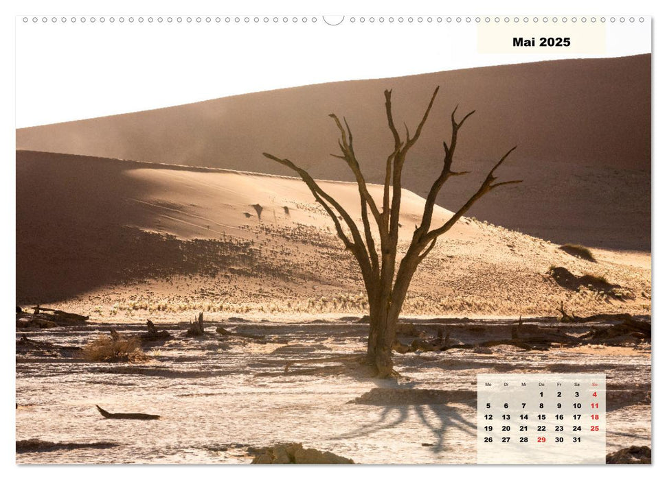 Magisches Namibia - Tiere und Landschaften (CALVENDO Premium Wandkalender 2025)