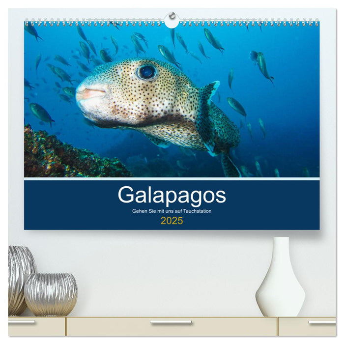 Unterwasserwelt Galapagos (CALVENDO Premium Wandkalender 2025)