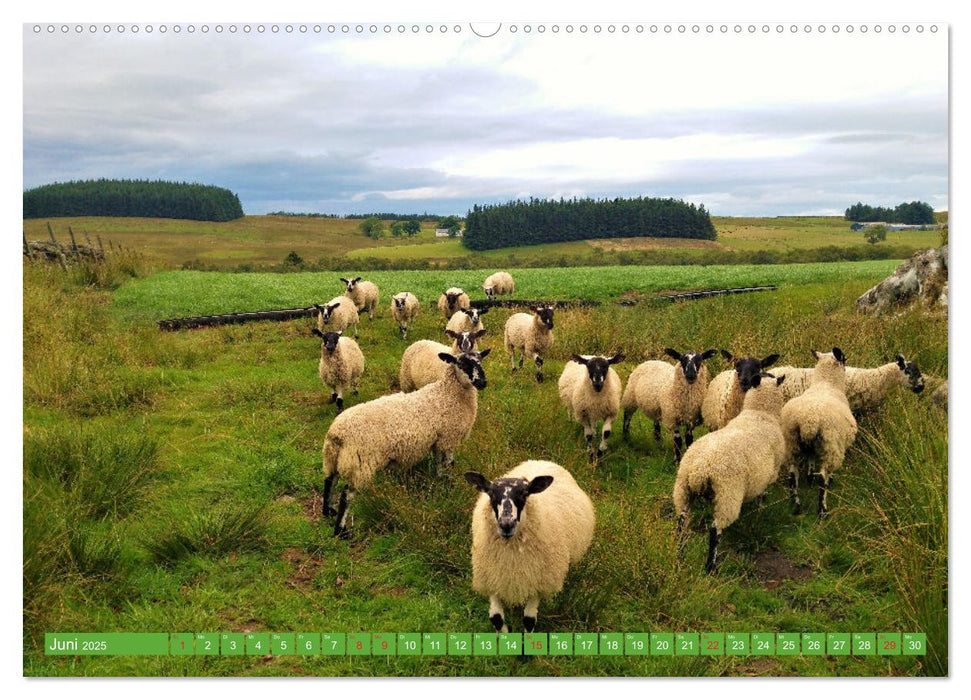 Schottland - Impressionen von magischen Orten (CALVENDO Wandkalender 2025)