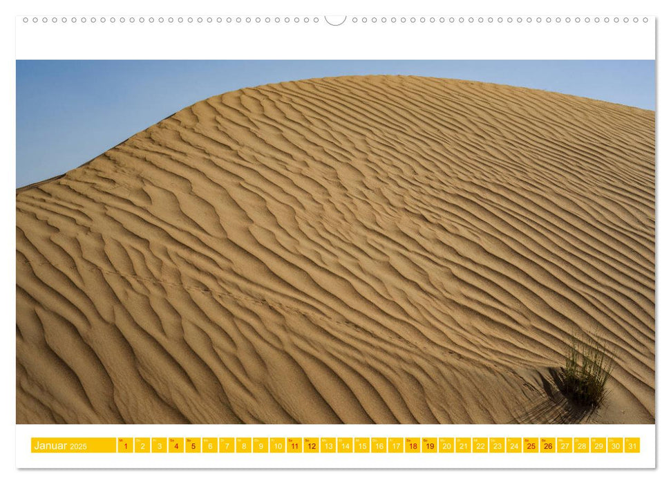 Die Wüste von Dubai (CALVENDO Premium Wandkalender 2025)