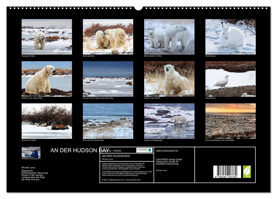 AN DER HUDSON BAY (CALVENDO Premium Wandkalender 2025)