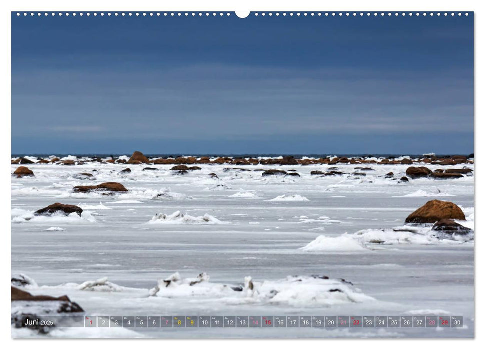 AN DER HUDSON BAY (CALVENDO Premium Wandkalender 2025)