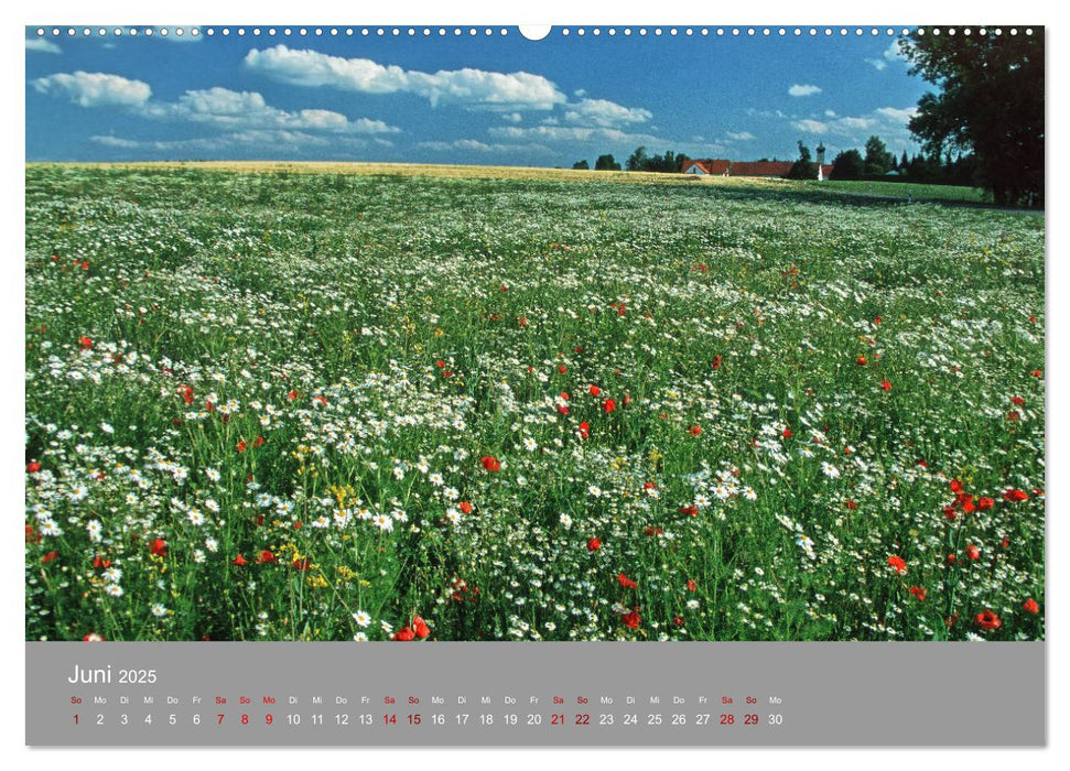 Hallertau (CALVENDO Premium Wandkalender 2025)