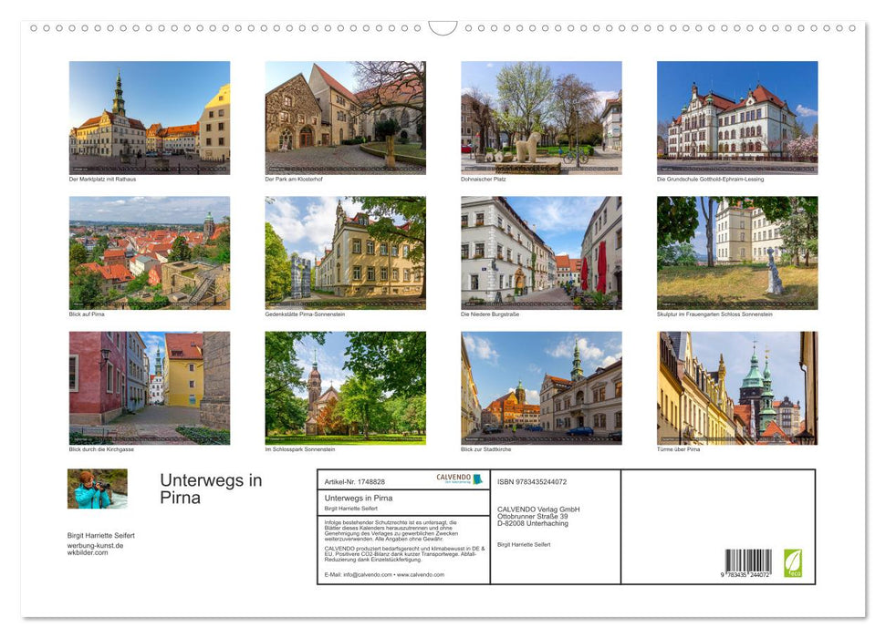 Unterwegs in Pirna (CALVENDO Wandkalender 2025)