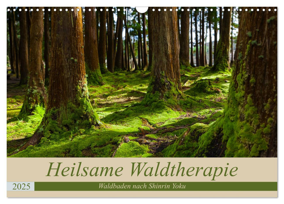 Heilsame Waldtherapie - Waldbaden nach Shinrin Yoku (CALVENDO Wandkalender 2025)