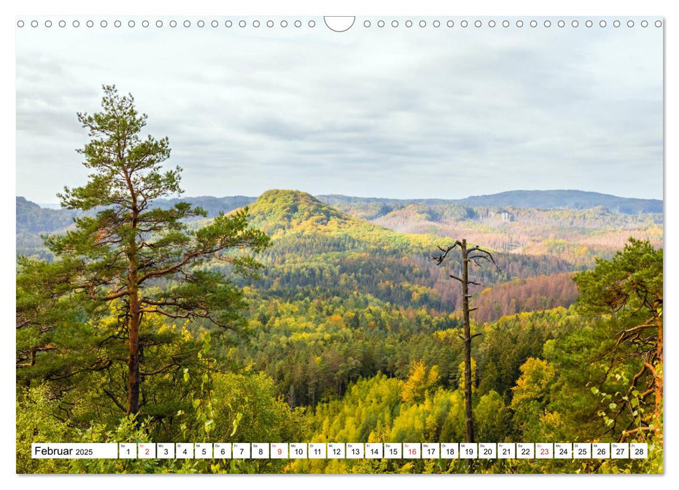 Heilsame Waldtherapie - Waldbaden nach Shinrin Yoku (CALVENDO Wandkalender 2025)