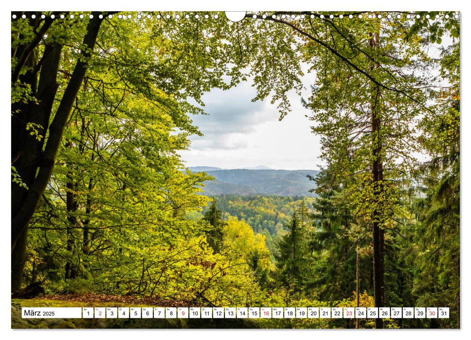 Heilsame Waldtherapie - Waldbaden nach Shinrin Yoku (CALVENDO Wandkalender 2025)