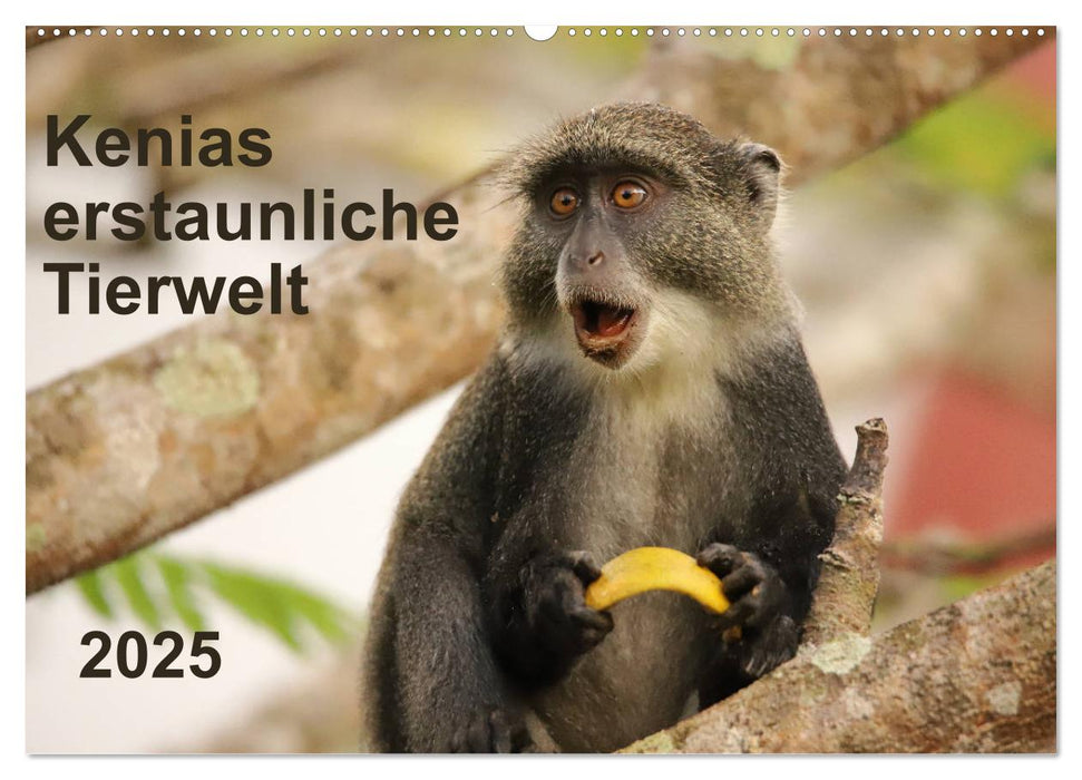 Kenias erstaunliche Tierwelt (CALVENDO Wandkalender 2025)