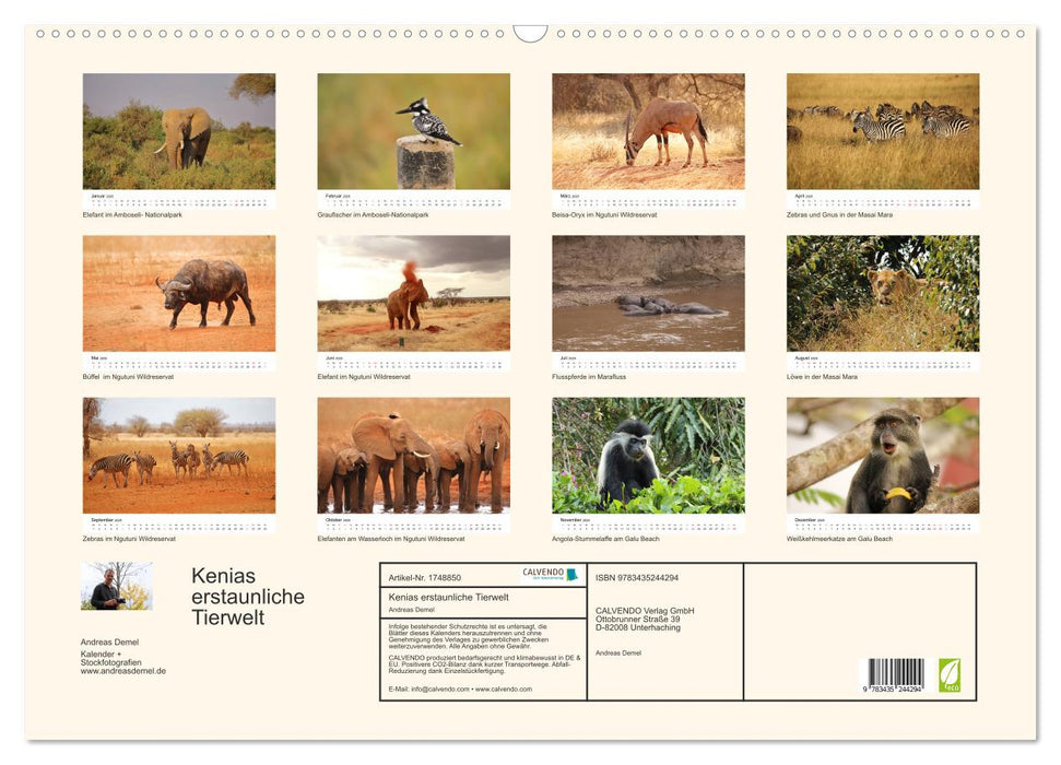 Kenias erstaunliche Tierwelt (CALVENDO Wandkalender 2025)