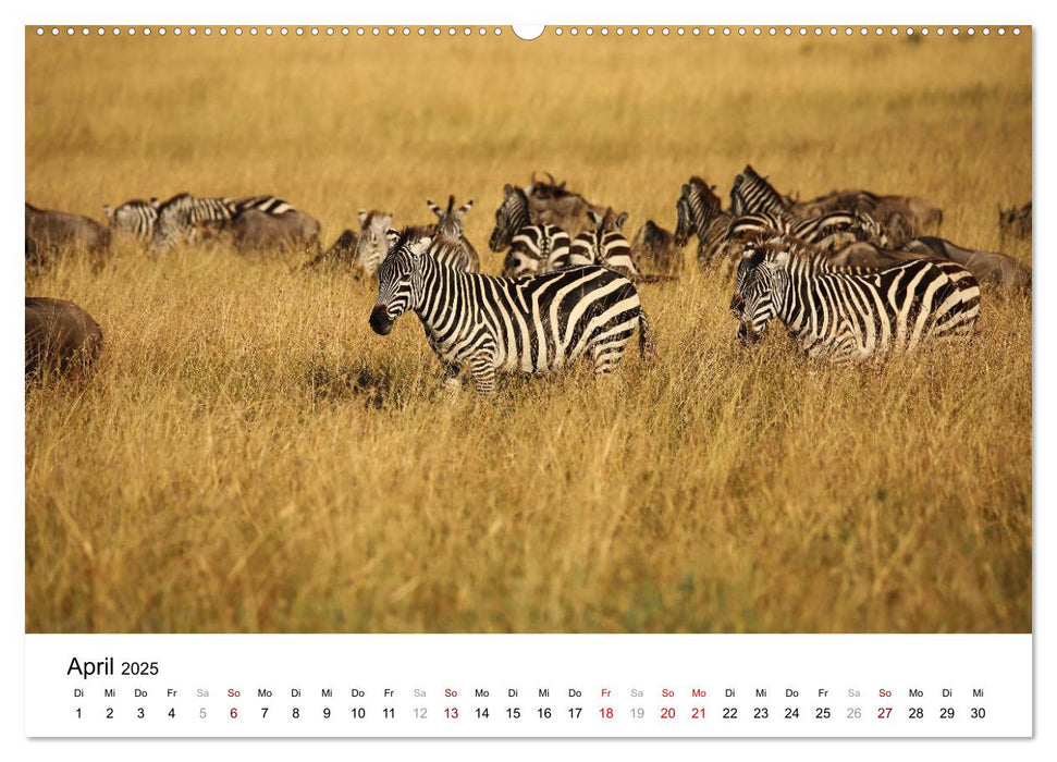 Kenias erstaunliche Tierwelt (CALVENDO Wandkalender 2025)