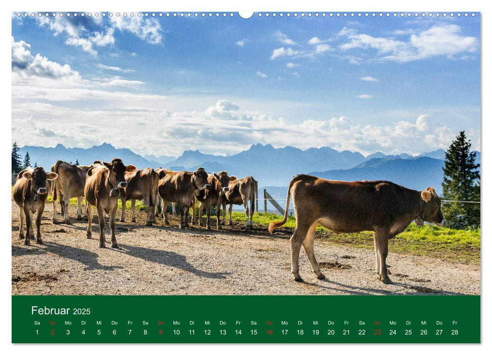 Allgäu - Landliches Leben (CALVENDO Premium Wandkalender 2025)