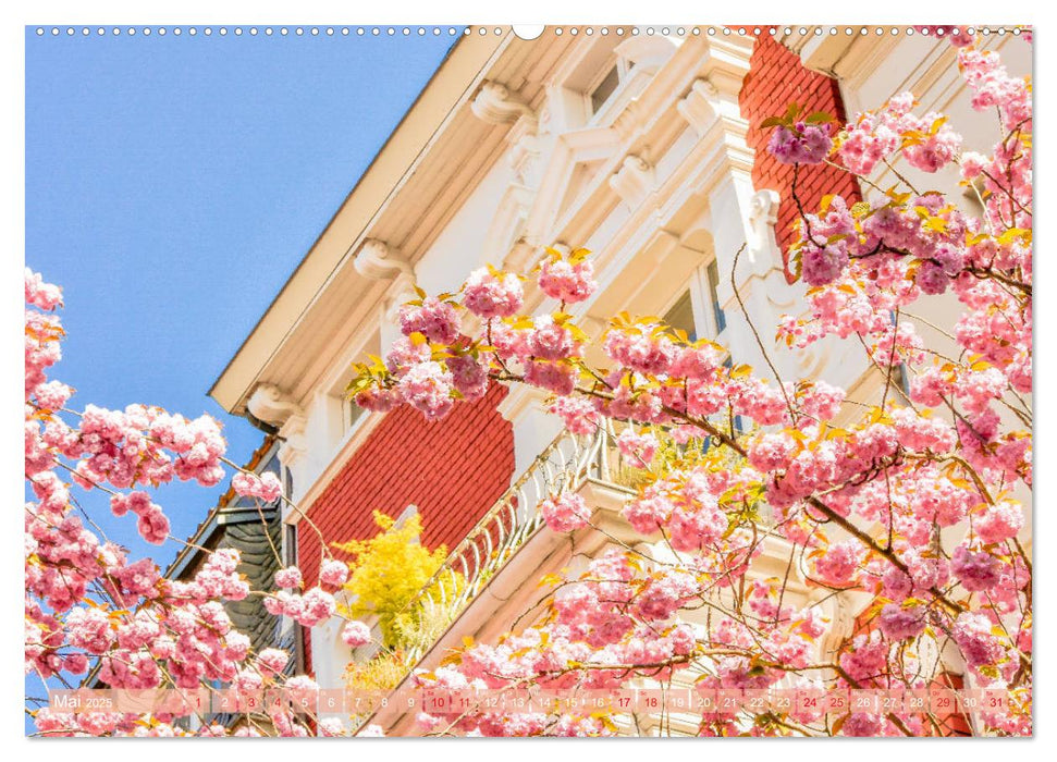 Nordrhein-Westfalen - Ein malerischer Spaziergang (CALVENDO Wandkalender 2025)