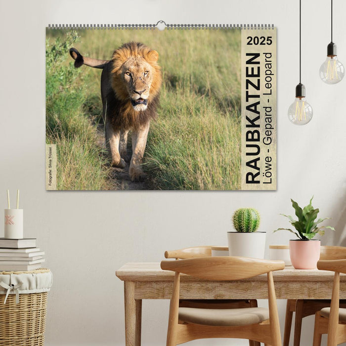 Raubkatzen - Löwe, Gepard, Leopard (CALVENDO Wandkalender 2025)