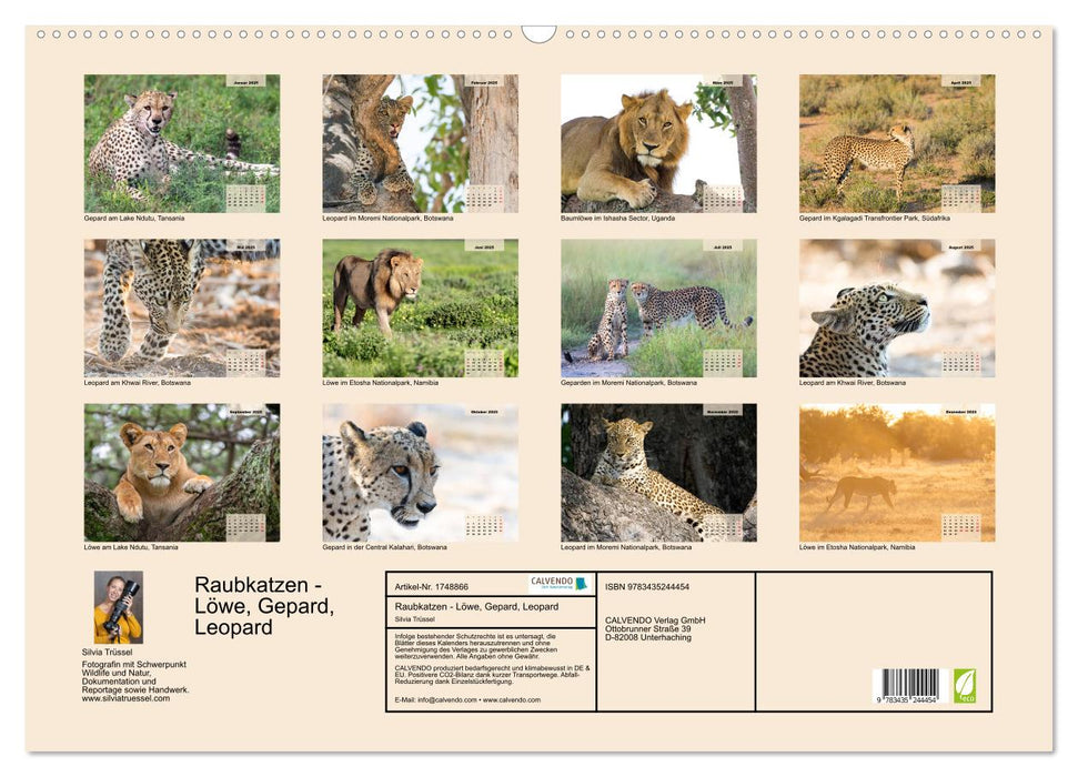 Raubkatzen - Löwe, Gepard, Leopard (CALVENDO Wandkalender 2025)