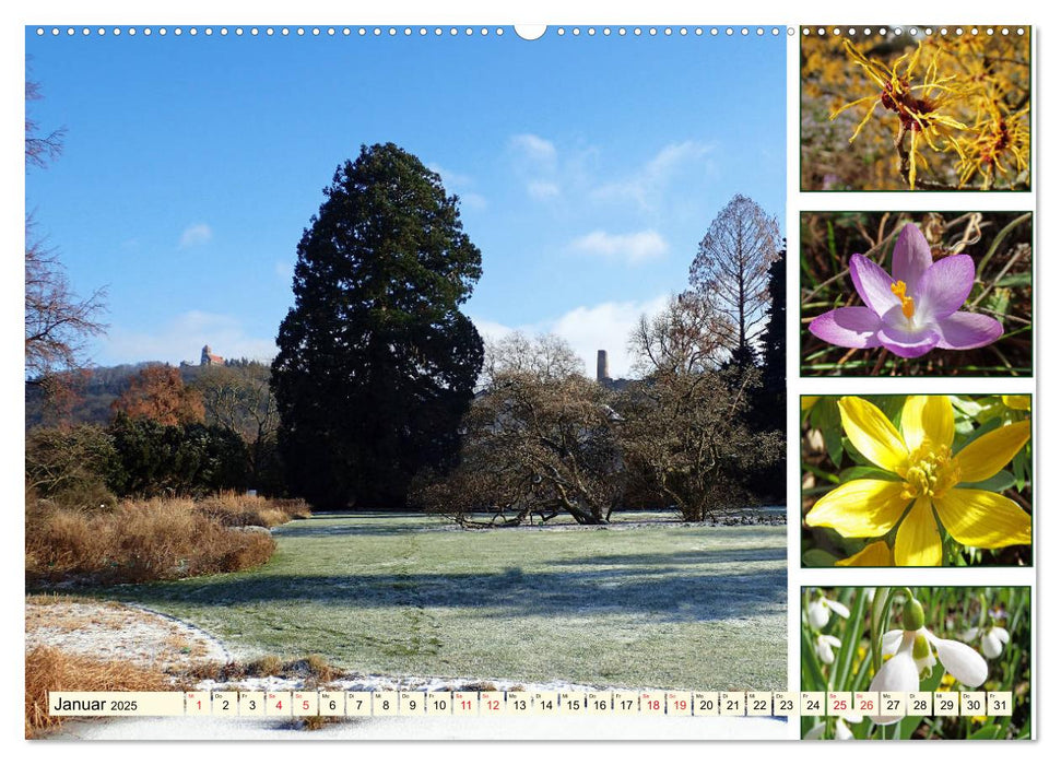 Im Hermannshof - Ein Traumgarten in Weinheim (CALVENDO Premium Wandkalender 2025)