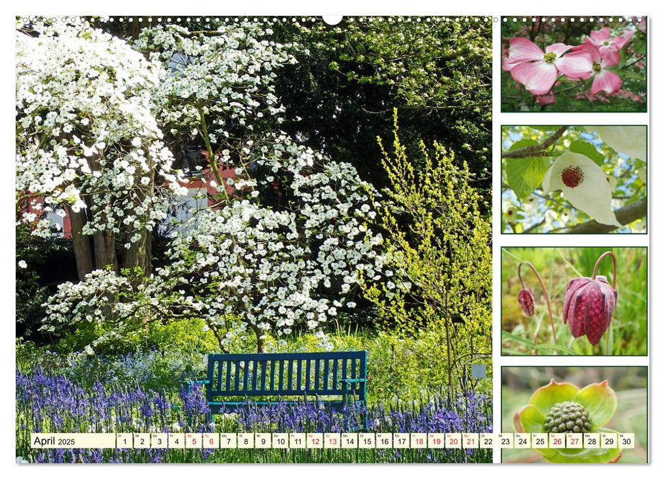 Im Hermannshof - Ein Traumgarten in Weinheim (CALVENDO Premium Wandkalender 2025)