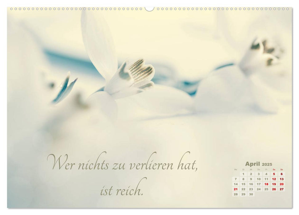 Chinesische Weisheiten (CALVENDO Premium Wandkalender 2025)