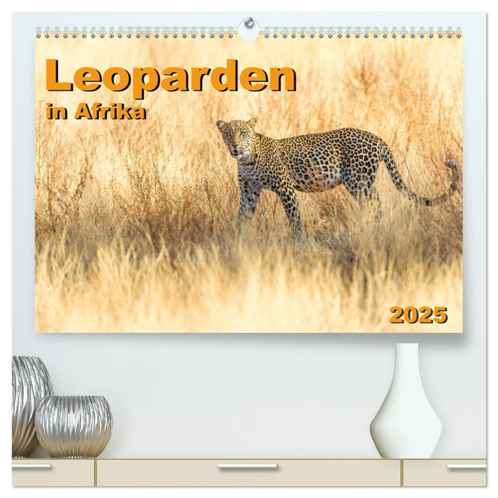 Leoparden in Afrika (CALVENDO Premium Wandkalender 2025)