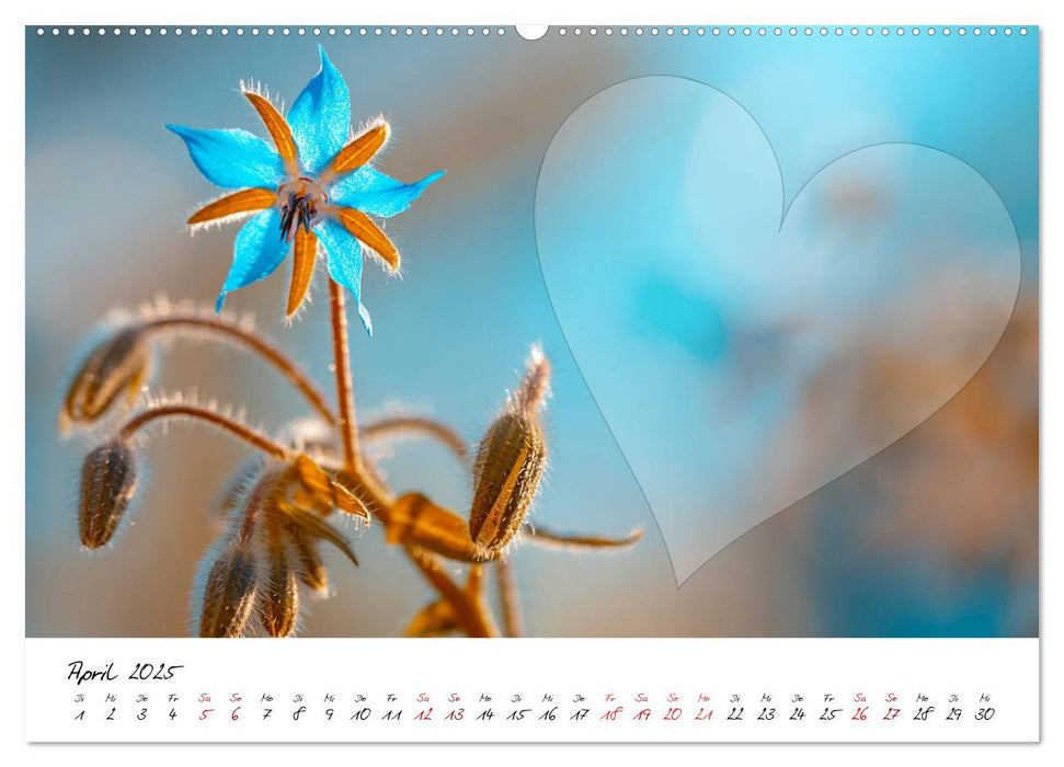 Blauer Blütentraum - Bastelkalender (CALVENDO Premium Wandkalender 2025)