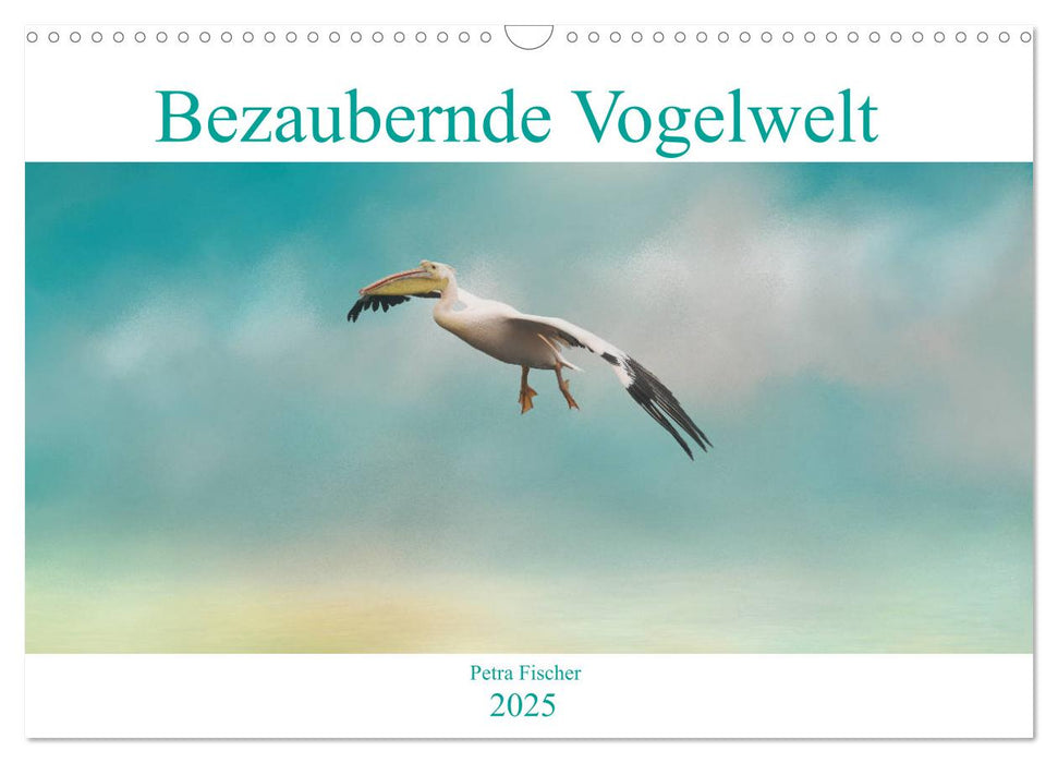 Bezaubernde Vogelwelt (CALVENDO Wandkalender 2025)