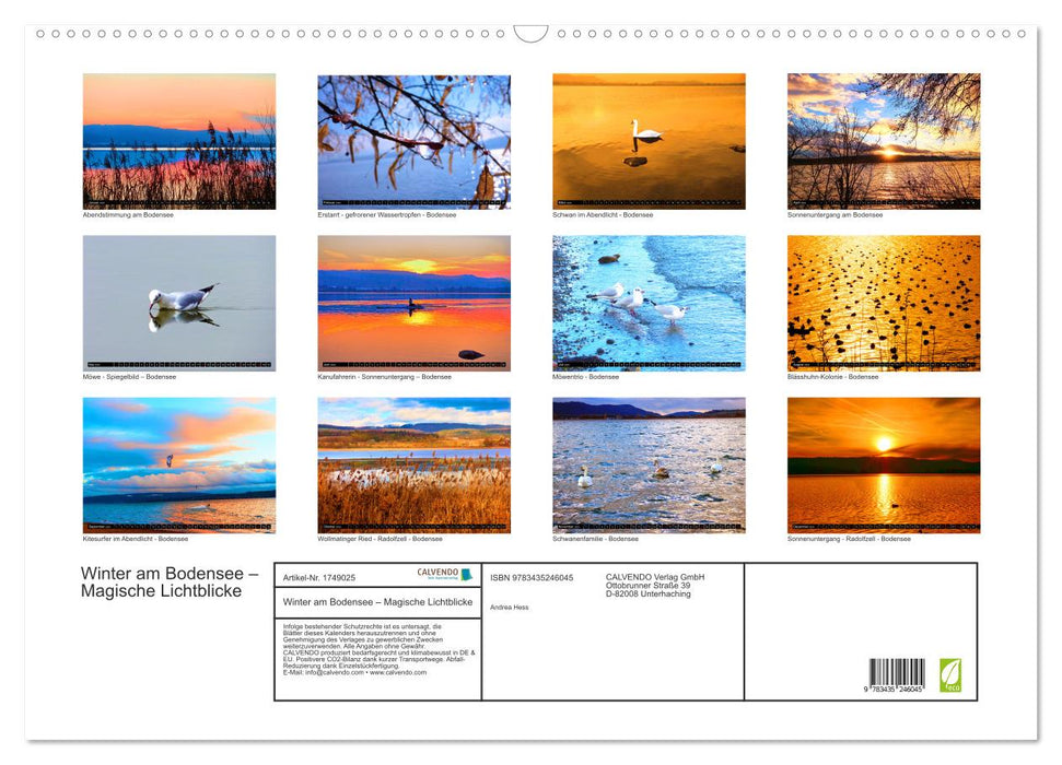 Winter am Bodensee – Magische Lichtblicke (CALVENDO Wandkalender 2025)