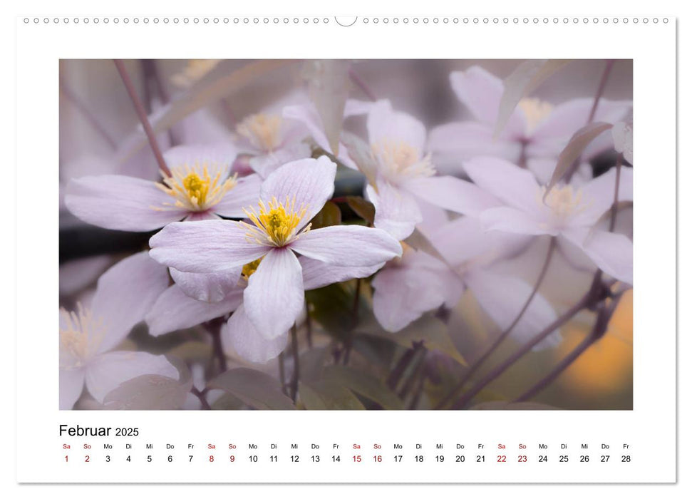 Rosa Blütentraum (CALVENDO Premium Wandkalender 2025)