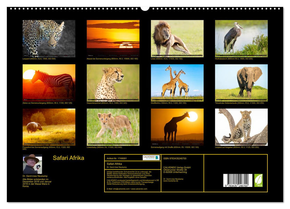 Safari Afrika (CALVENDO Premium Wandkalender 2025)