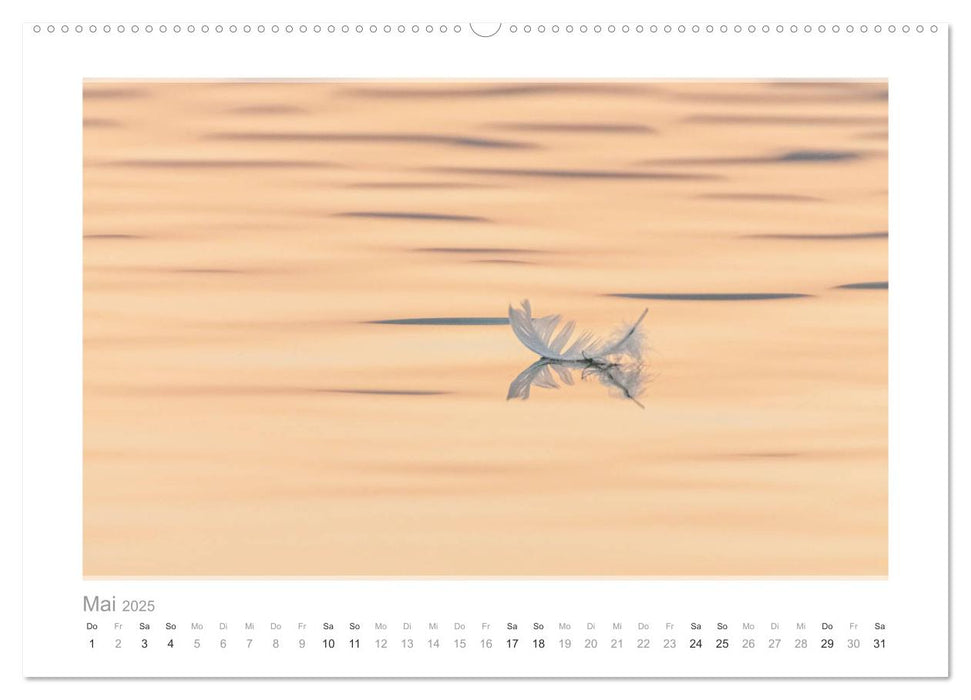 Mein lieber Schwan! Die Schwäne vom Kochelsee. (CALVENDO Premium Wandkalender 2025)