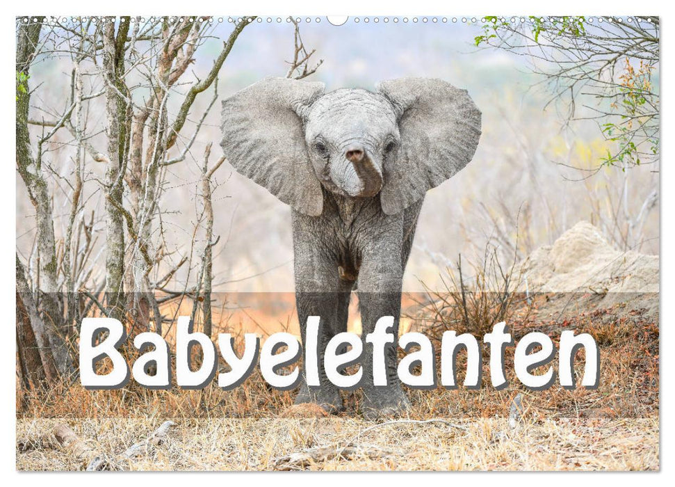 Babyelefanten (CALVENDO Wandkalender 2025)