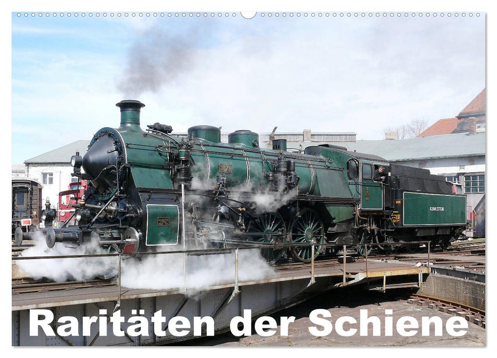 Raritäten der Schiene (CALVENDO Wandkalender 2025)