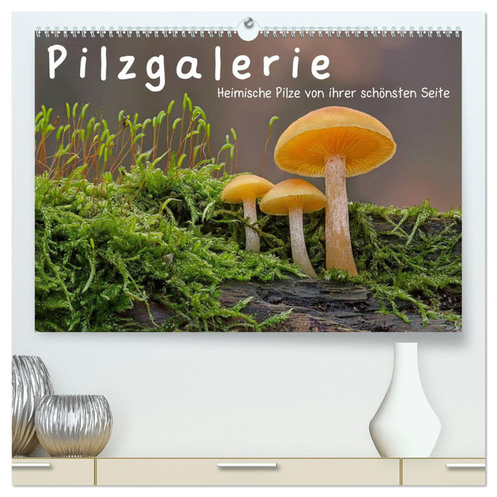 Pilzgalerie - Heimische Pilze von ihrer schönsten Seite (CALVENDO Premium Wandkalender 2025)