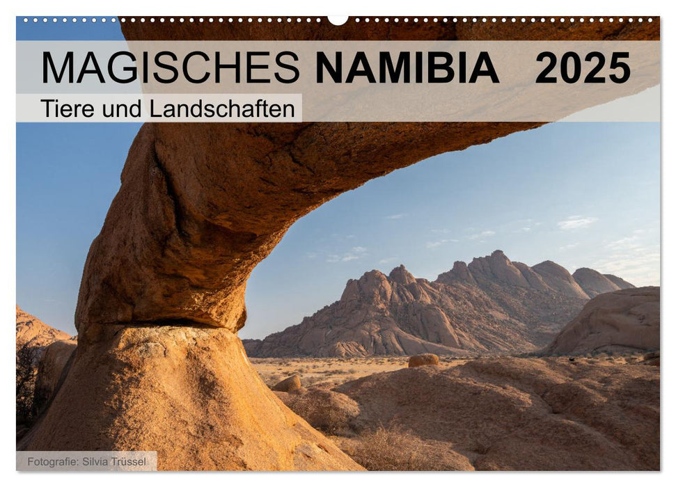 Magisches Namibia - Tiere und Landschaften (CALVENDO Wandkalender 2025)