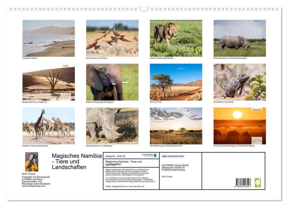 Magisches Namibia - Tiere und Landschaften (CALVENDO Wandkalender 2025)