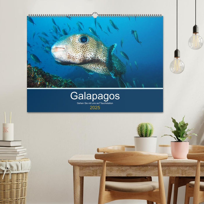 Unterwasserwelt Galapagos (CALVENDO Wandkalender 2025)