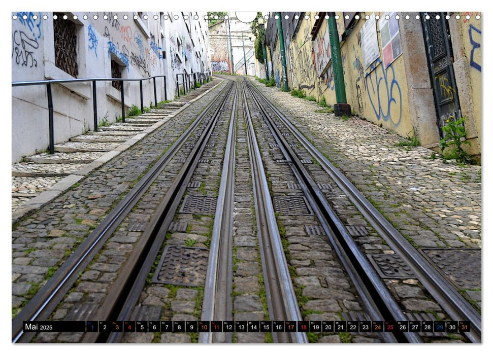 Lissabon aus einer ganz anderen Sicht. (CALVENDO Wandkalender 2025)