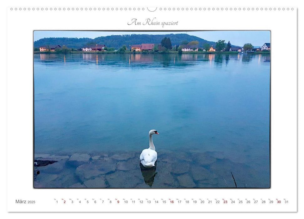 Am Rhein spaziert (CALVENDO Premium Wandkalender 2025)