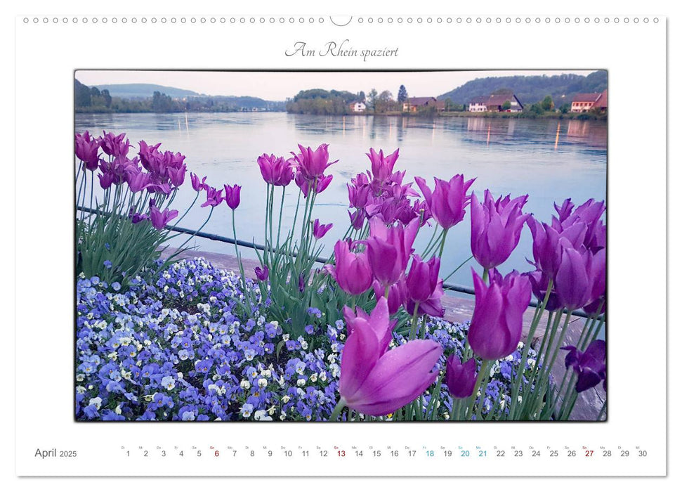 Am Rhein spaziert (CALVENDO Premium Wandkalender 2025)