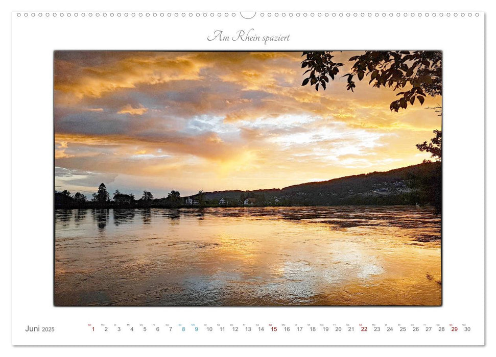 Am Rhein spaziert (CALVENDO Premium Wandkalender 2025)