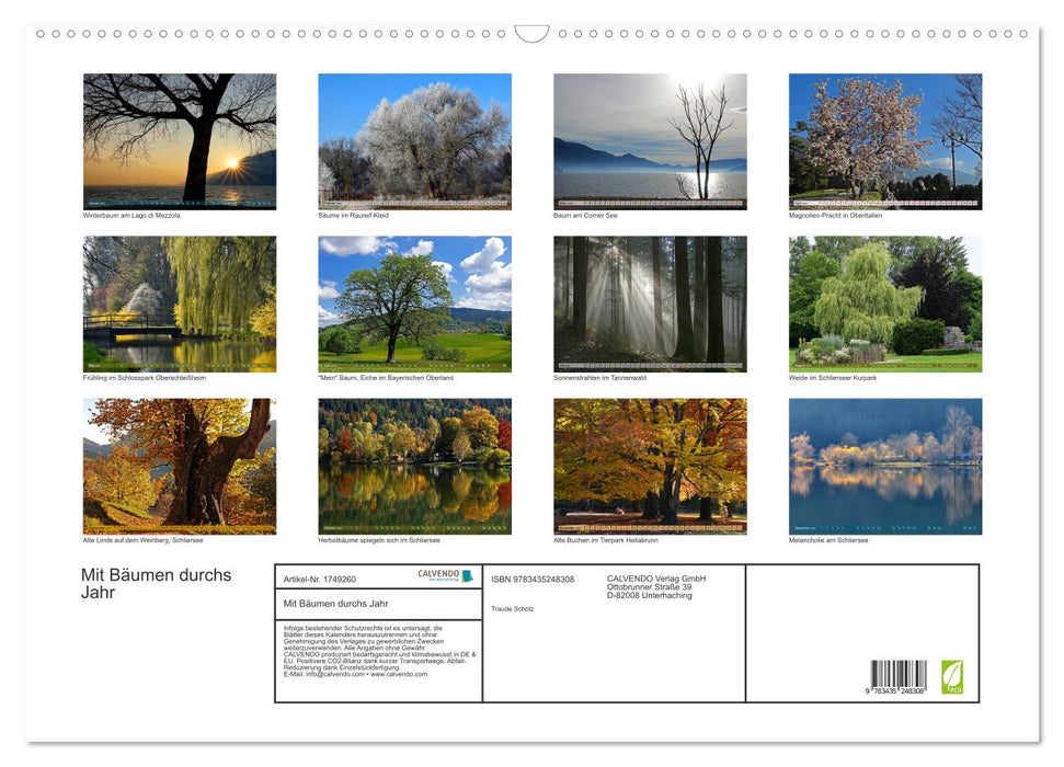 Mit Bäumen durchs Jahr (CALVENDO Wandkalender 2025)
