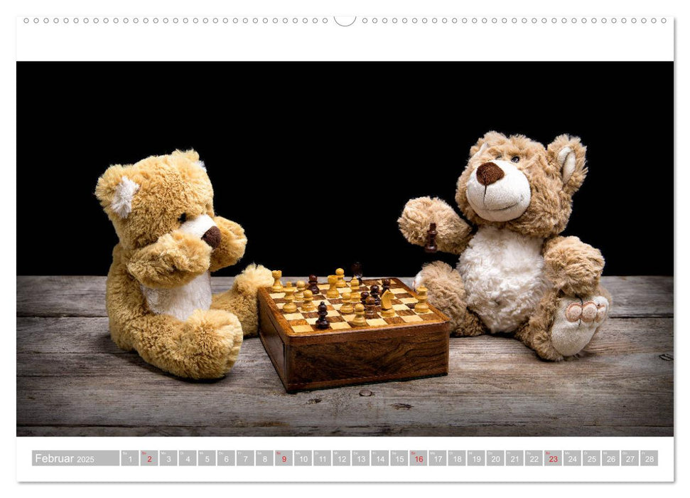 Eddy, der Teddy - 12 Bilder zum Schmunzeln (CALVENDO Premium Wandkalender 2025)