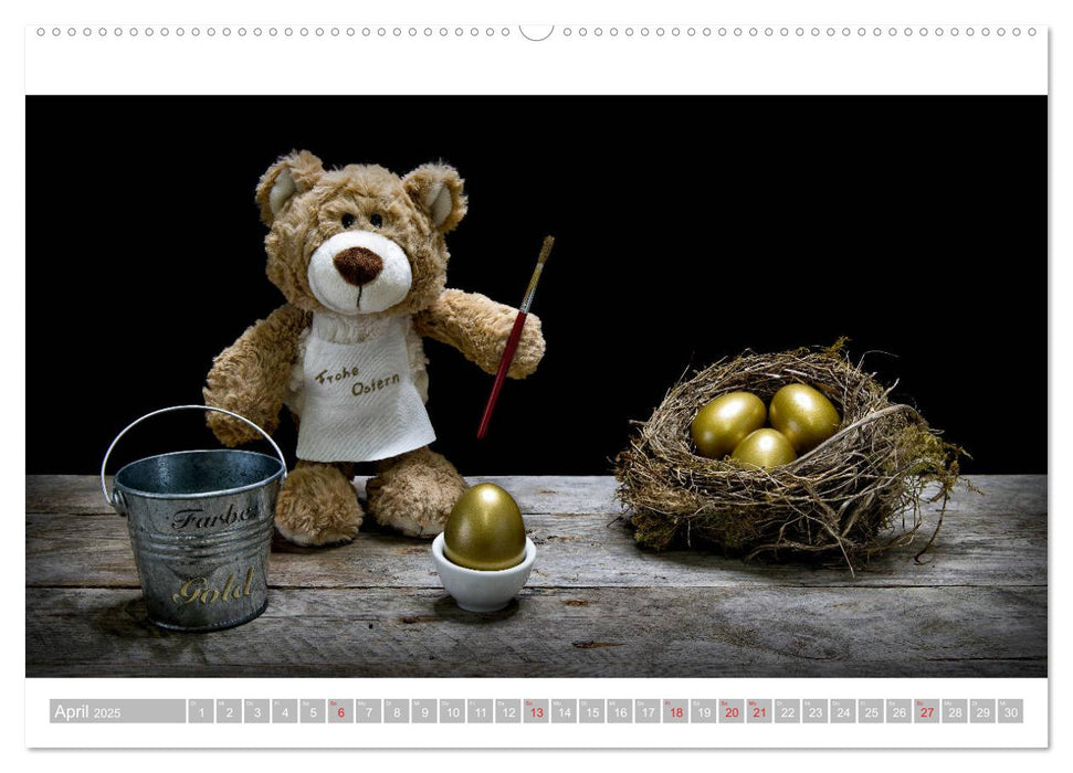 Eddy, der Teddy - 12 Bilder zum Schmunzeln (CALVENDO Premium Wandkalender 2025)