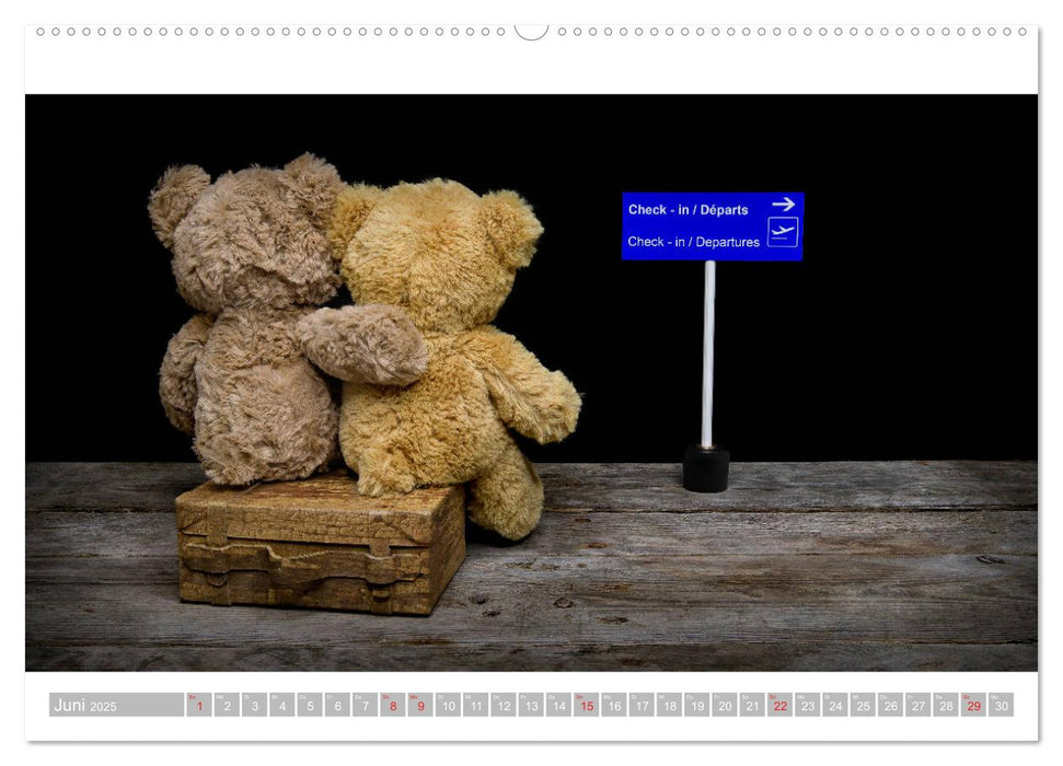 Eddy, der Teddy - 12 Bilder zum Schmunzeln (CALVENDO Premium Wandkalender 2025)