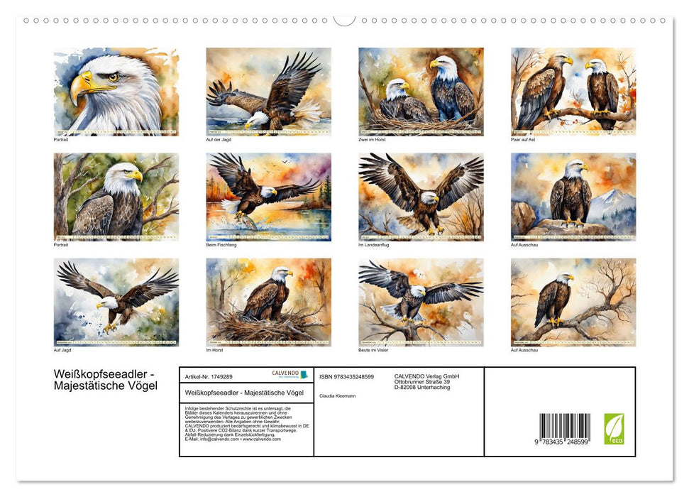 Weißkopfseeadler - Majestätische Vögel (CALVENDO Premium Wandkalender 2025)