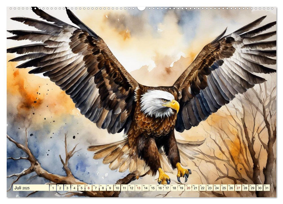 Weißkopfseeadler - Majestätische Vögel (CALVENDO Premium Wandkalender 2025)