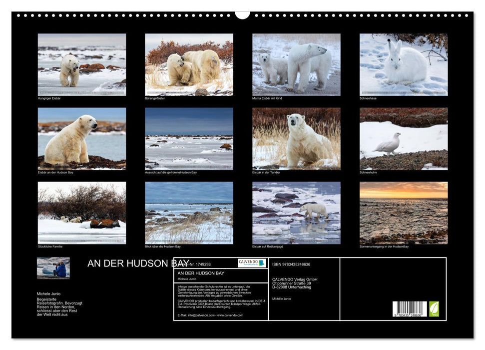 AN DER HUDSON BAY (CALVENDO Wandkalender 2025)