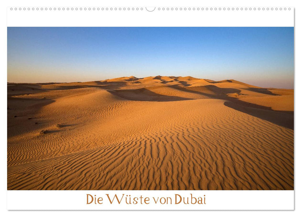 Die Wüste von Dubai (CALVENDO Wandkalender 2025)