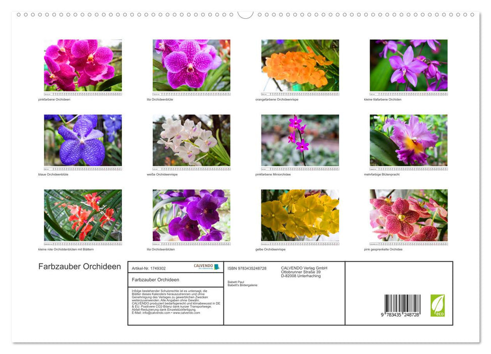 Farbzauber Orchideen (CALVENDO Premium Wandkalender 2025)