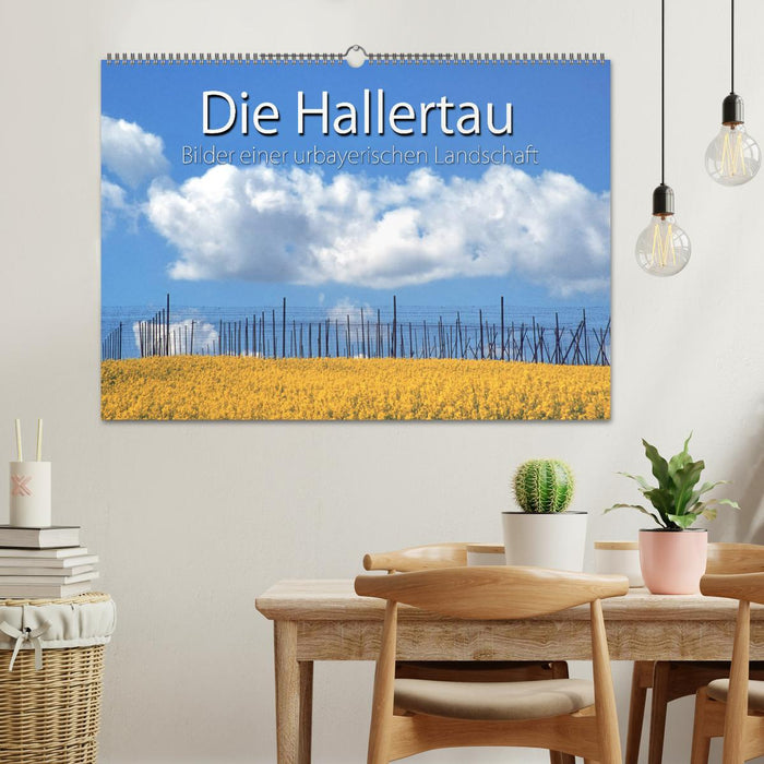 Hallertau (CALVENDO Wandkalender 2025)