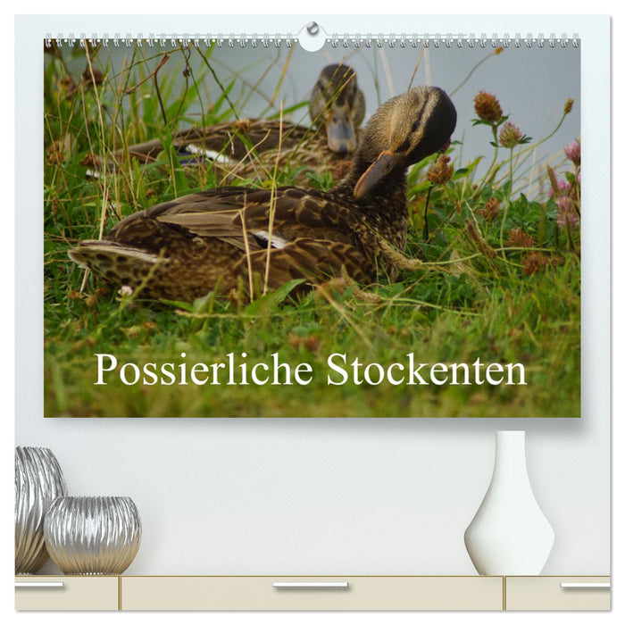 Possierliche Stockenten (CALVENDO Premium Wandkalender 2025)